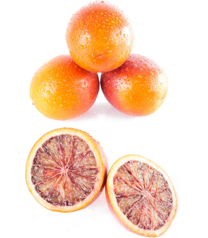Naranja-Sanguina-47