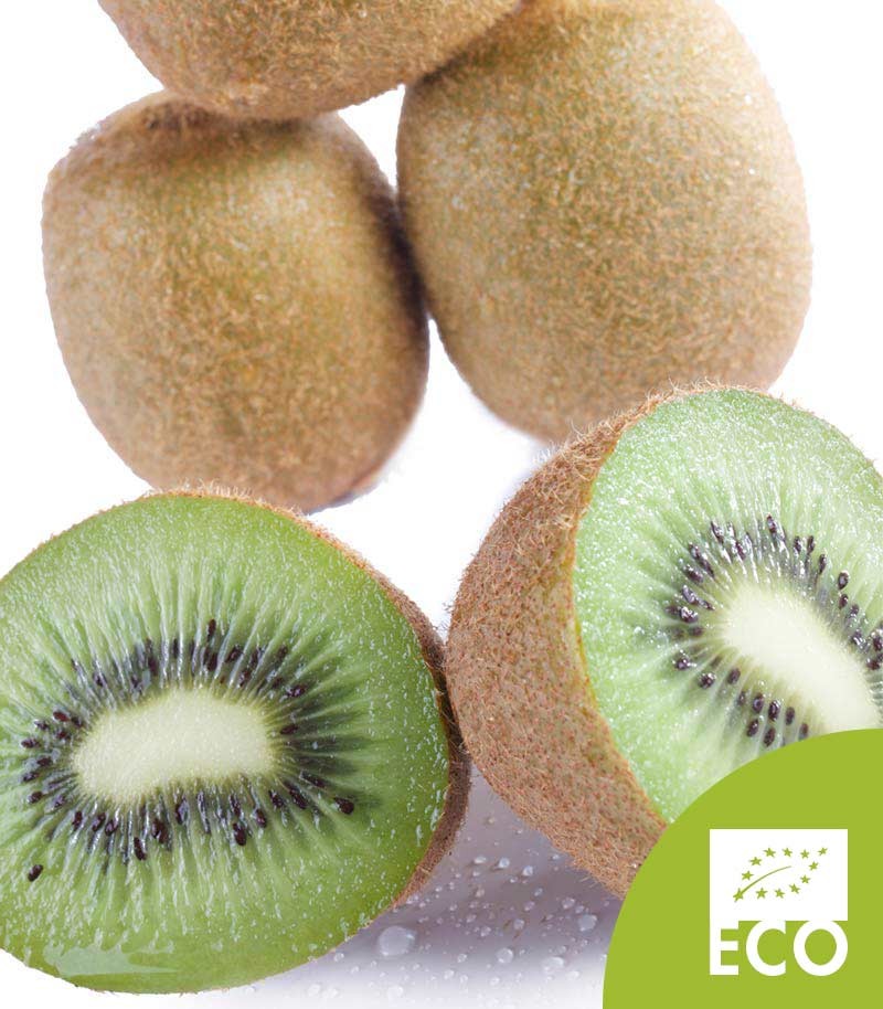 Kiwi-Verde-Ecologico-498