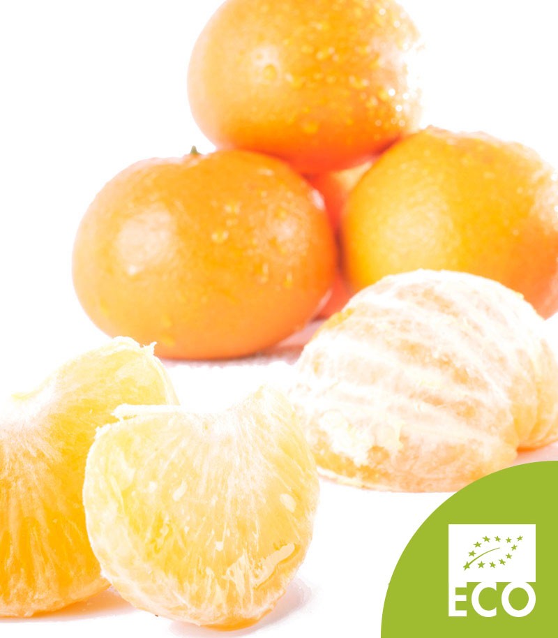 Mandarina-Ecologica-502