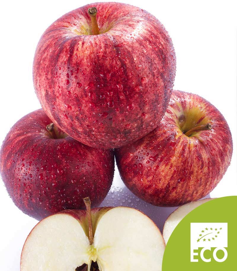 Manzana-Fuji-Ecologica-504