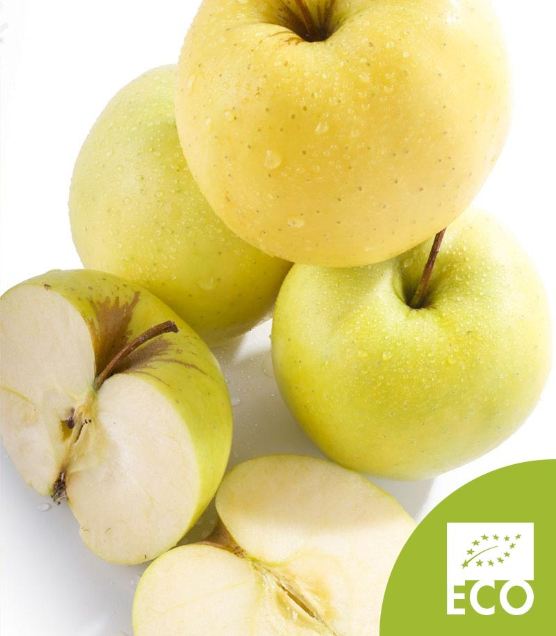 Manzana-Golden-Ecologica-506