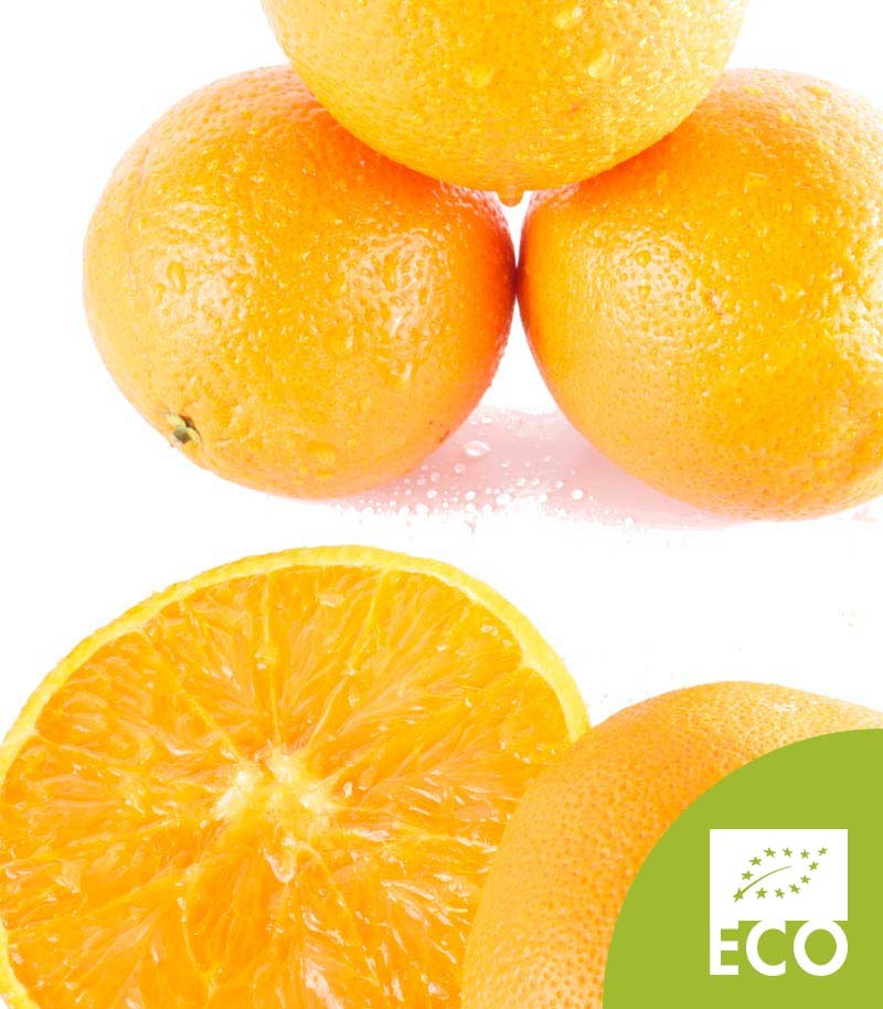 Naranja-Ecologica-de-Mesa-514