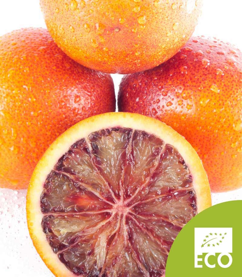 Naranja-Sanguina-Ecologica-516