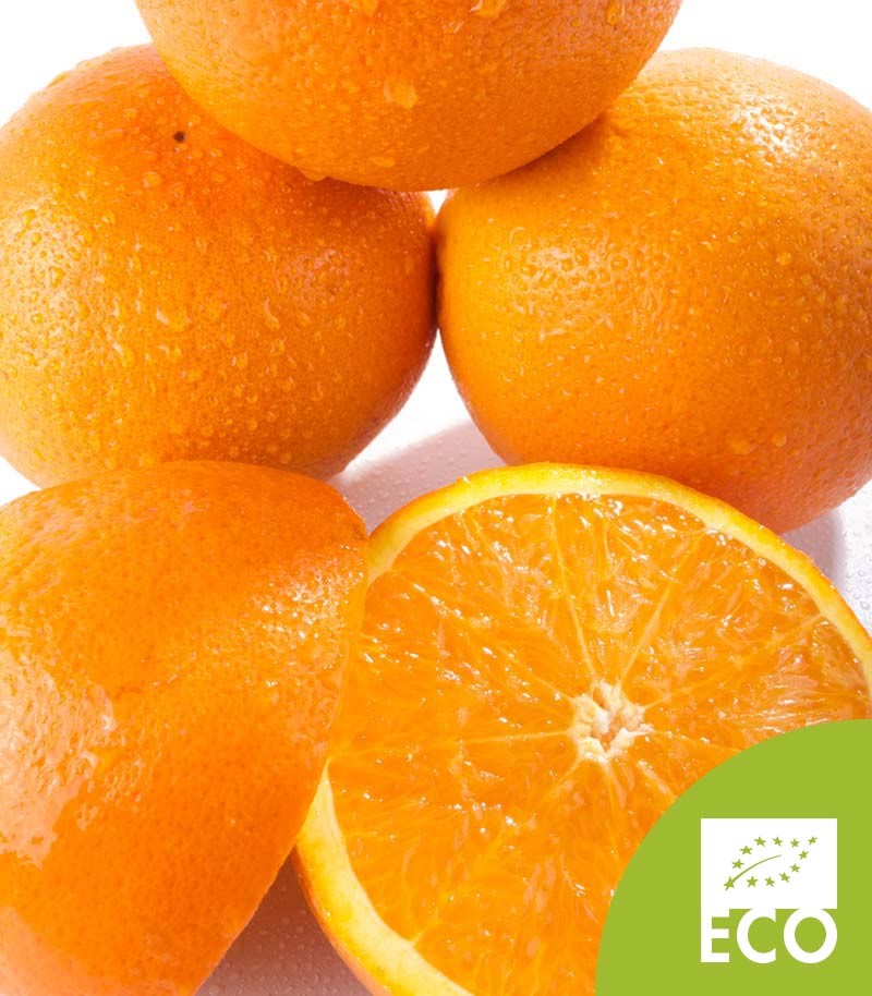 Naranja-Ecologica-de-Zumo-520