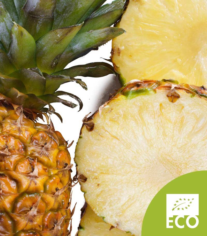 Pina-Del-Monte-Ecologica-526