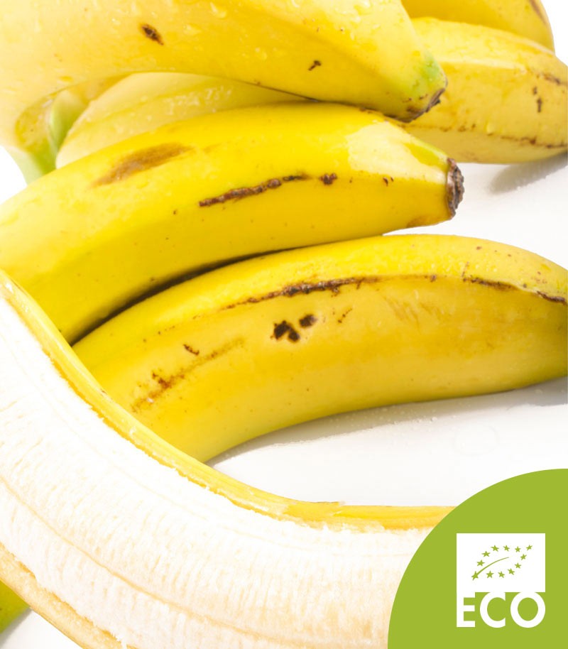 Platano-de-Canarias-Ecologico-528