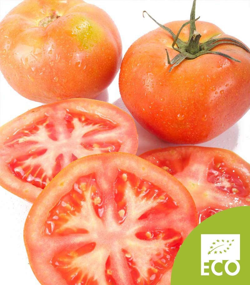 Tomate-Ensalada-Ecologico-536