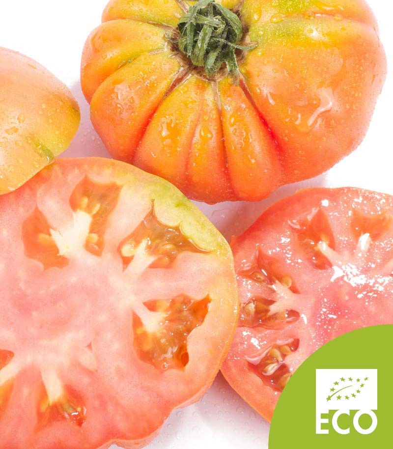Tomate-Rama-Ecologico-540