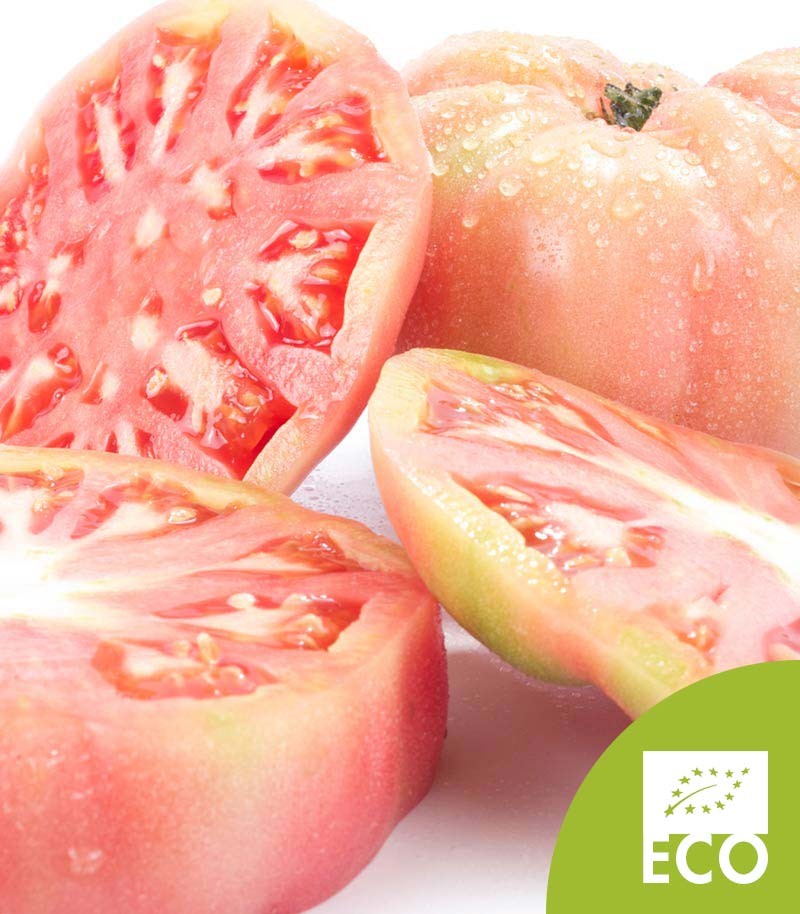 Tomate-Rosa-Ecologico-542