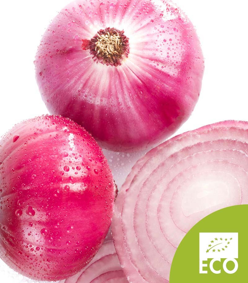 Cebolla-Morada-Ecologica-562