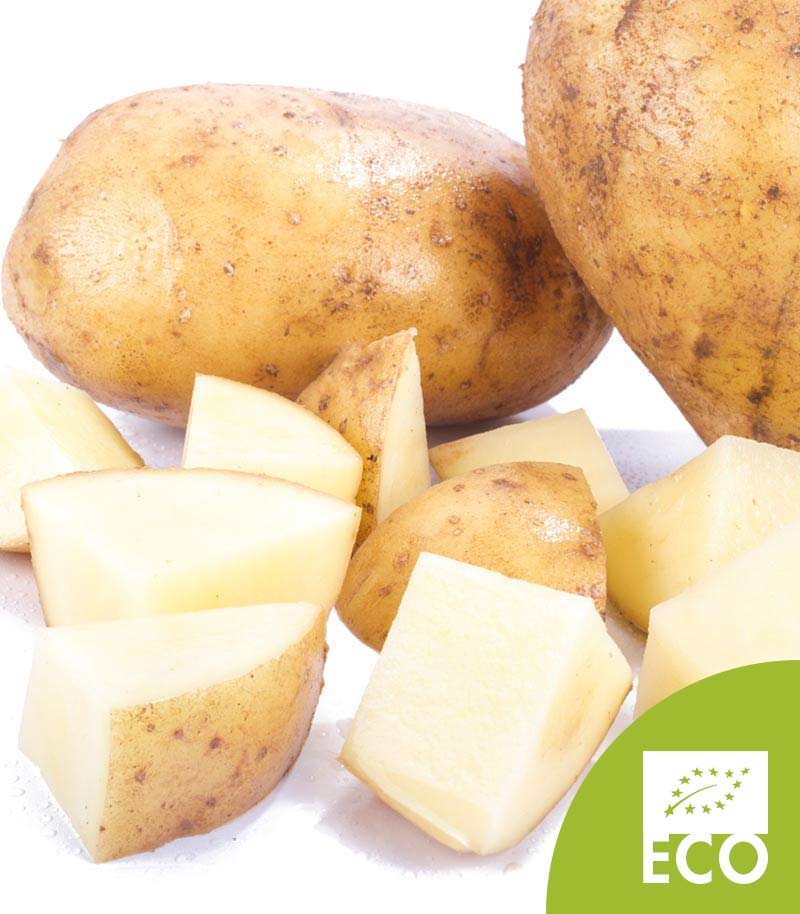 Patatas-para-Freir-Ecologica-574