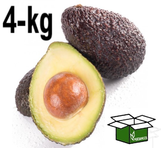 Aguacate-Caja-4-kg-aprox